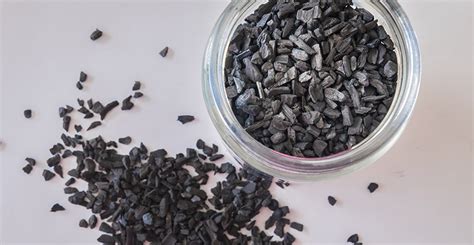 Researchers Hope to Tackle Methane Emissions in Manure Through Use of ...
