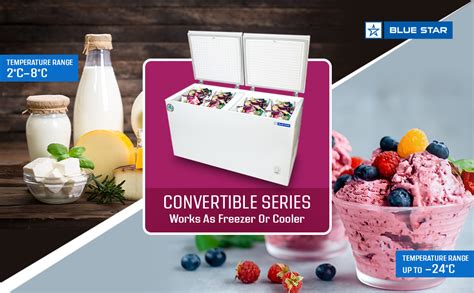 BLUE STAR CHFSD100FHSW Single Door Deep Freezer (100 Ltrs, White ...