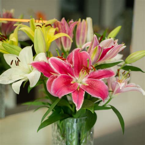 Online Gift Shop for Flowers | Buy Flower Online – The Style Salad