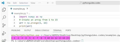 Python How Build an Array 的图像结果