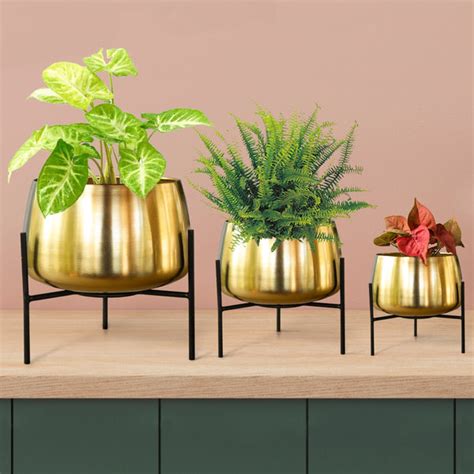 Indus Planter (Set of 3) – TrustBasket