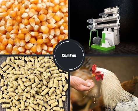Chicken Feed Pellets