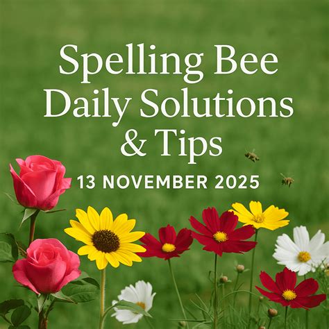 Spelling Bee Daily Solutions & Tips – 13 November 2025 - Spelling ...