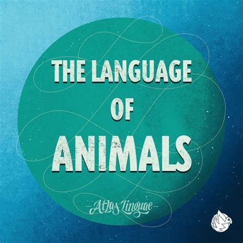 Image result for Language Master Animals