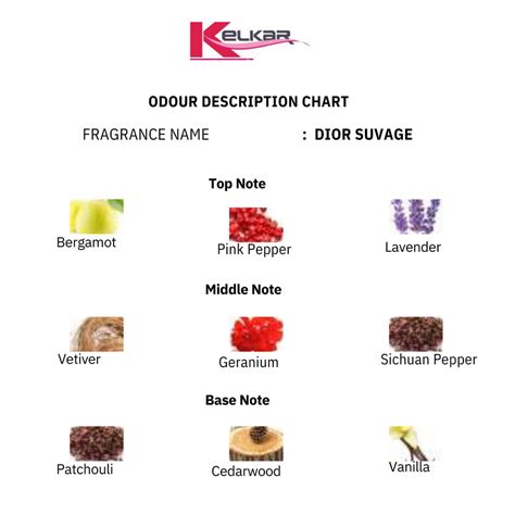 Dior Suvage Dupe – Kelkar Foods and Fragrances
