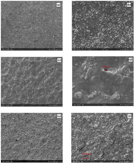 Analysis of PEM Water Electrolyzer Failure Due to Induced Hydrogen ...