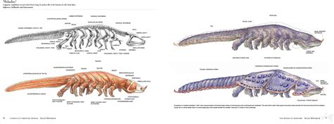Alien Anatomy Book 的图像结果