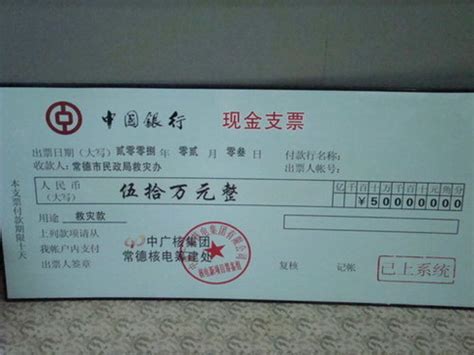 支票0049(天津银行,现金支票)