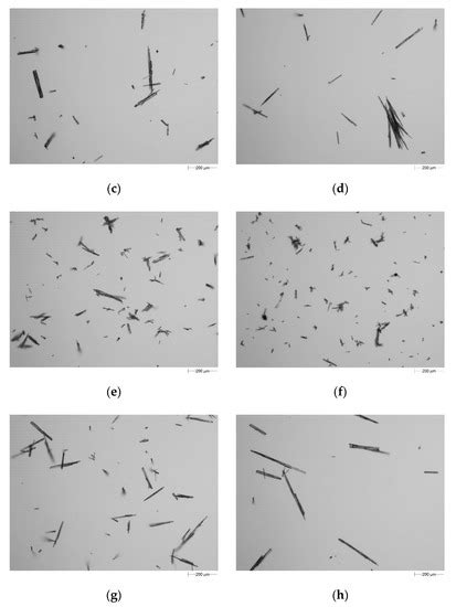 Effect of Process Conditions on Particle Size and Shape in Continuous ...