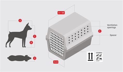 Dog crate sizes and prices online