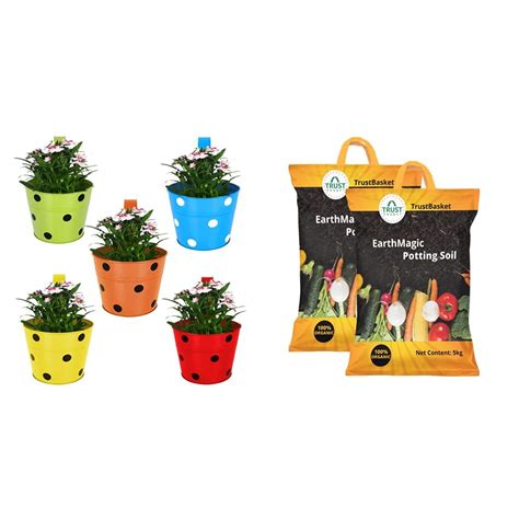 TrustBasket Single Pot Railing Planter (Multicolour, Pack of 5) and ...