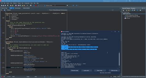 Image result for Python Delphi