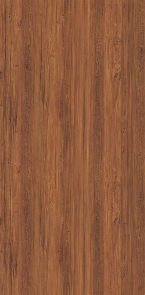 8137 SLEEK MOCHA || Goldlam