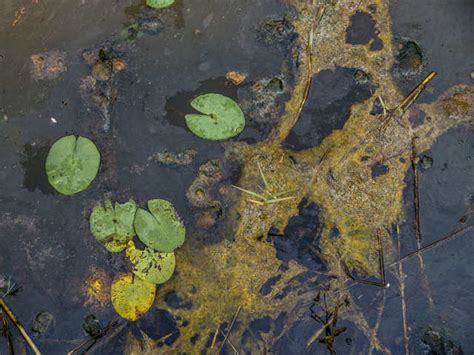 How a 100-day long Baghjan oil well blowout is crumpling livelihoods ...