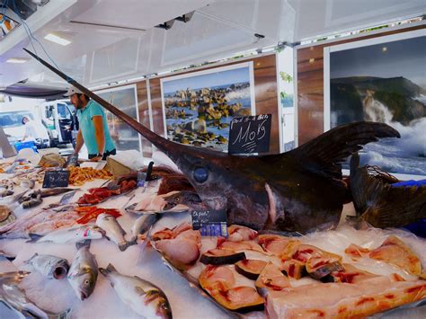 What Does Sword Fish Taste Like? - Food Shark Marfa