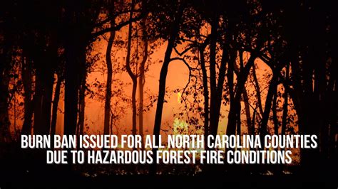 Burn ban issued for all North Carolina counties due to hazardous forest ...