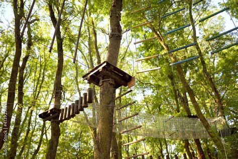 Forest Adventure 的图像结果