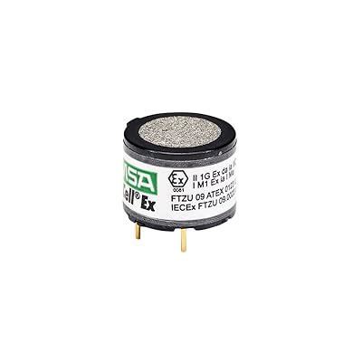 MSA ALTAIR 5X Multi-Gas Detector Combustible Gas India | Ubuy