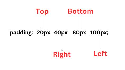 Image result for Padding 2