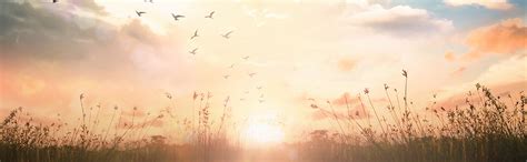 Accelerated Resolution Note Example 的图像结果