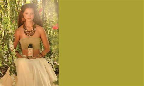 ALIVE Ancient Mushroom Elixir | Adaptogenic Teas | GT's Living Foods