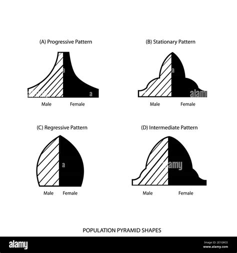 Population and Demography, Illustration Set of 4 Types of Population ...