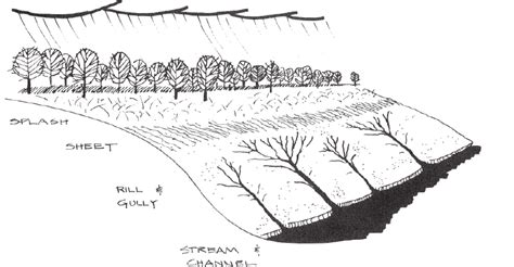 Geoscience Processes Erosion Examples 的图像结果