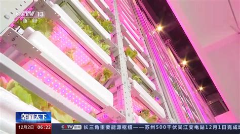 20层“高楼”里种菜！我国自主研发首座无人化垂直植物工厂在成都建成|成都市_新浪财经_新浪网