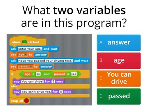 Image result for Scratch Quiz Examples