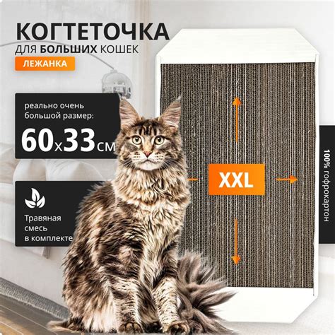 Когтеточка картонная большая 600х330х35 мм. Белая купить на OZON по ...