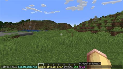 Image result for Minecraft Command Block Commands Effects Java
