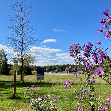 EMILY PROVINCIAL PARK (2026) All You Need to Know BEFORE You Go (w ...