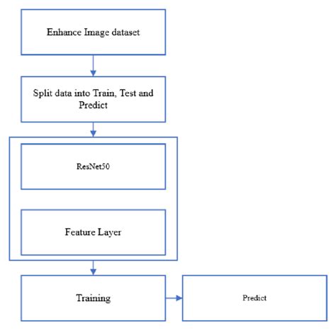 Image result for Classification Picture