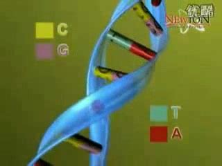 New DNA Sequencing technique may help unravel genetic diversity of ...