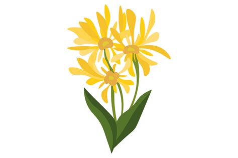Kentucky State Flower - Solidago Gigantea SVG Cut file by Creative ...