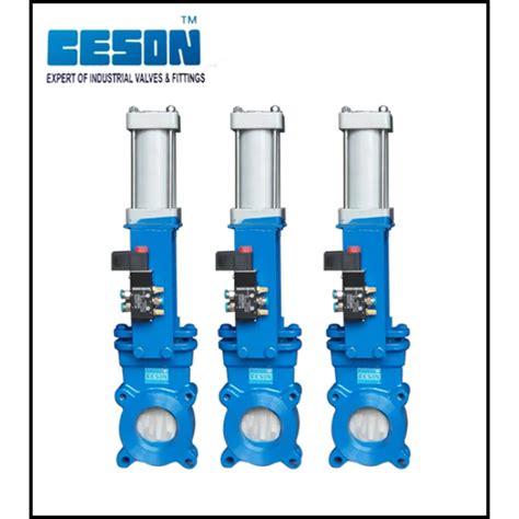 Top Knife Edge Gate Valve With Pneumatic Operated | Chamunda Engineering