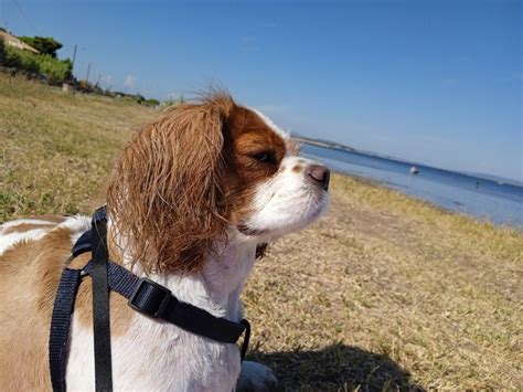 Noah's Ark, Auch: Information, Tickets and Reviews