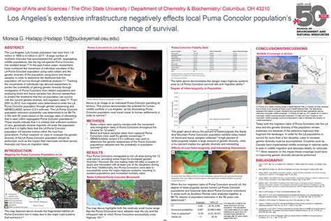 Image result for Academic Poster Introduction Examples