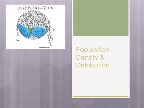 Population Density Distribution Model 的图像结果