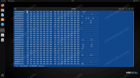 Image result for Linux Hex Editor Structures