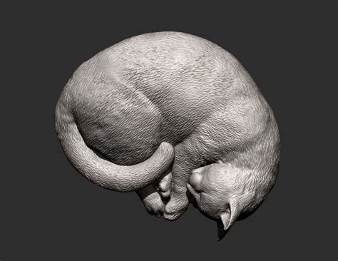 3D file Sleeping cat 3D print model 😴・3D printer design to download・Cults