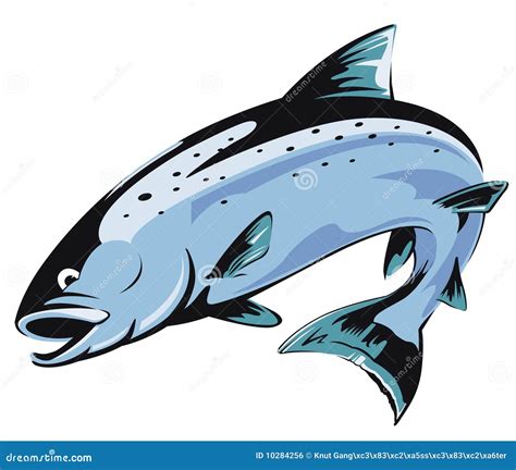 Salmon Stock Illustrations - 24,034 Salmon Stock Illustrations, Vectors ...