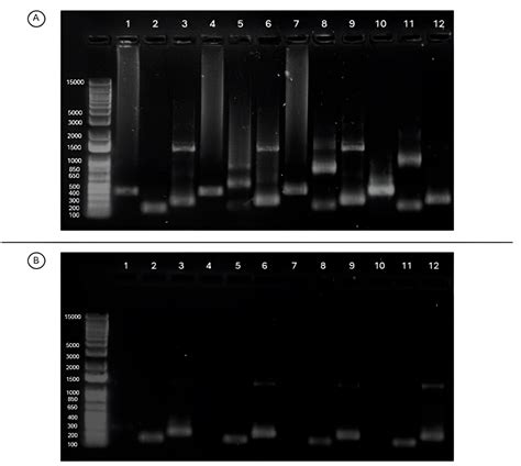 Nested-PCR vs. RT-qPCR: A Sensitivity Comparison in the Detection of ...