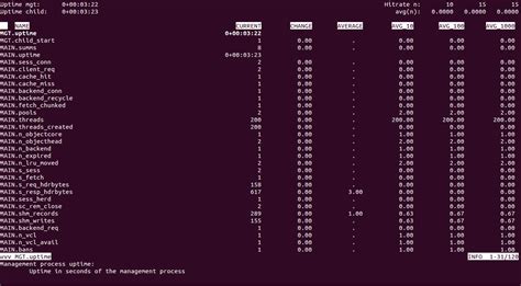Image result for Cache Server Ubuntu