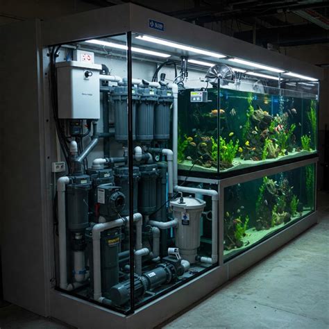 Very Large Fish Tanks: Ultimate Guide to 300, 400 & 1000 Gallon ...