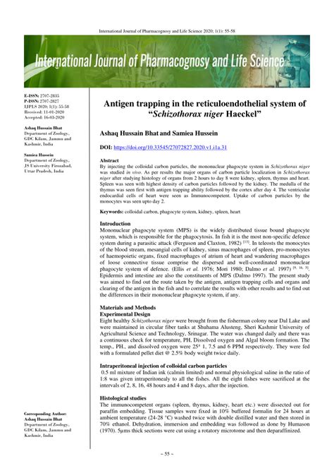 Image result for Role Fixation