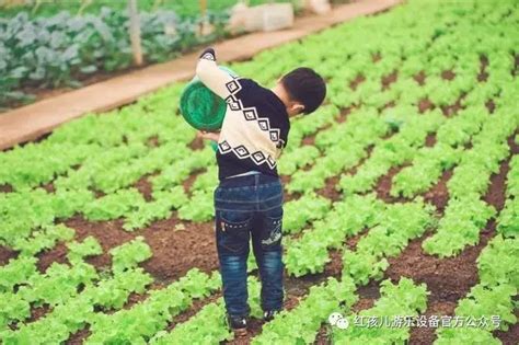 “农场主”胡代红和他的家庭农场|安康_新浪新闻