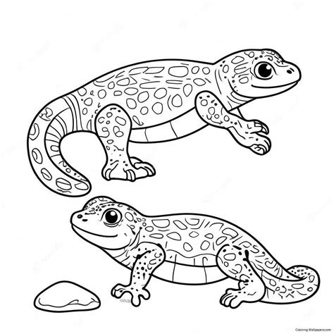 Leopard Gecko Coloring Page (29424-23250)