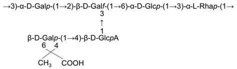 K antigen structure