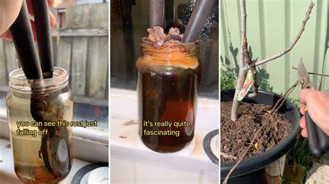 Image result for Yard Tools Remove Rust